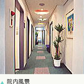 �@�����i